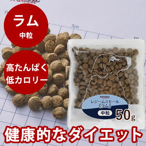 i`n[xXg W[ X[  50g ܁@NEWpbP[W@ᎉb@J[@_CGbg