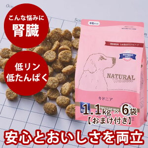 yN[|zzzi`n[xXg LhjA@1.1kg×6܃Zbg@NEWpbP[W ^pNA჊ŐtɔzꂽHÖ@HphbOt[hhCt[higE