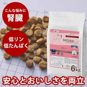 yN[|zzzi`n[xXg LhjA@6kg@NEWpbP[W ^pNA჊ŐtɔzꂽHÖ@HphbOt[hhCt[higE