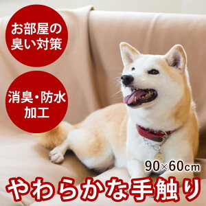 yP2{N[|zzz炩L}`Jo[ 90×60 V[c Jo[ V[g }` L fBX  炩 \t@ rO h H z hL