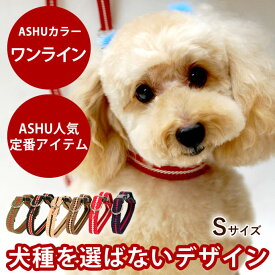 犬 首輪 ASHU ワンラインカラー S 小型犬 おしゃれで丈夫 ナイロン ビニール 人気