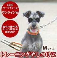 【割引クーポン配布中】ハーフチョーク ASHU ワンラインW ハーフチェーンカラー M 小型犬 中型犬 シンプ…