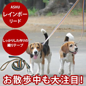 ASHU レインボー リード