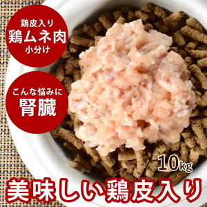 yN[|zzzLp bY{ ނ˓~` 10+1kg [500g×22]yⓀzyVNȌ{~`z p Lp  { Y{ ჊  ybgp  g[ l 