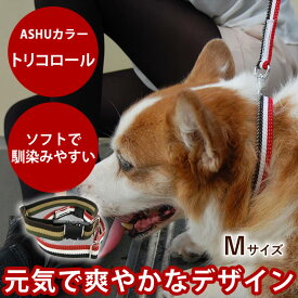【割引クーポン配布中】犬 首輪 中型犬 ASHU トリコロールカラーM 【リードは別売り】 幅1.5cm テープタイプ シュナウザー オリジナル ドッグブランド アッシュ 犬用首輪 お散歩 可愛い 犬のグッズ 柴犬 コーギー ペット用品 犬の首輪 豆柴 ペット用 ドッグ