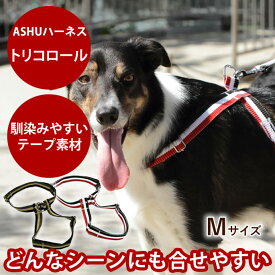 犬 ハーネス ASHU トリコロール Mサイズ 【リードは別売り】 中型犬柴犬 胴輪 ナイロン 首輪 レッド ブラウン 可愛い ブランド ベルト ドッグ ペット お散歩ドッグ かわいい 犬用 犬ハーネス プレゼント【犬ハーネス ペット用品 おしゃれ コーギー 犬の首輪 お散歩】