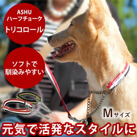 【割引クーポン配布中】ハーフチョーク 中型犬 ASHU トリコロール ハーフチョークM 36〜54cm【単品】 シバ ボーダーコリー 犬用 チェーンカラー しつけ用品【あす楽対応 近畿 柴犬 ペット用品 ペットグッズ 豆柴 豆しば】
