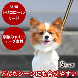ASHU トリコロール リード【単品】 サイズS[全長110cm 幅1.5cm]【犬用リード お散歩 かわいい 可愛い おしゃれ】犬 人気 中型犬 ナイロン 小型犬用 可愛い デザインリード 柴犬 トイプードル コーギー チワワ ペット用品 散歩用リード パグ 豆柴 ペット用 いぬ