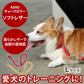 ASHU*ソフトレザー[チョークカラー] サイズ：L 【中〜大型犬用】