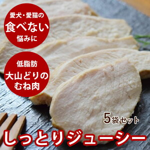   Ⓚ Ƃ{Xe[L 5܃ZbgyⓀz Y Y  y gbsO H g[jO { EFbgt[h VjA c ⓀhbOt[h t