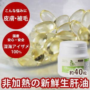 yP2{N[|zzz ̖ YIK3IC 40 ̖ Y T XN DHA EPA R[Q(R) b_ Tvg̏i͗ⓀN[ւł̔ƂȂ