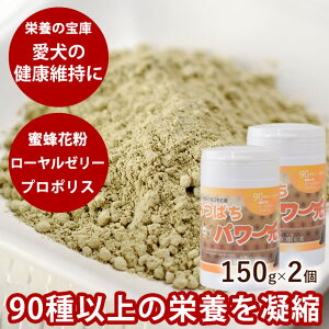 ݂΂p[C2Zbg @Tv  v[gt ybgpTvg  yf r^~ h{⋋ hbOt[h  ybgt[h ybgpi hbO