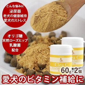 NAC 60g×2Zbg@pTvg r^~C V Lɂ]  畆 育͂̃r^~⋋Ɍ pTvg R[Q VjA Tvg hbO