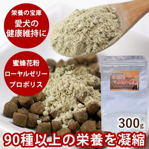 yN[|zzz݂΂p[C@300g p Tv  Tvg GRpbN V e yf  VjA ݂΂p[C t[h hbOt[h  hbO