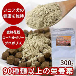 ݂΂p[C GRpbN 300g pTvg  VEVjA