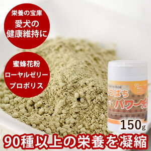 yN[|zzzh{̕ ݂΂p[C150g Tvg  L V yf r[| hbOt[h VjA ӂ肩 _ v|X VjA hbO Nێ 