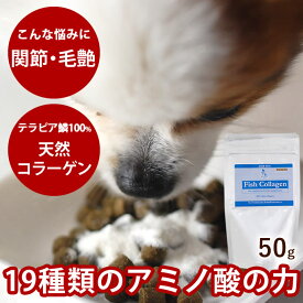 【割引クーポン配布中】犬 サプリメント フィッシュコラーゲン 50g 関節 ジョイントケア 毛艶にト 栄養補助食品【犬のサプリメント 犬用サプリメント 犬用品 ペットのサプリ ペット ドッグ】