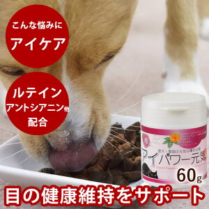 yP2{N[|zzzL Tv ACp[C Lp 60g / eC AgVAj V  p ACPA r^~C OXmL ATLCpE_[2023N2