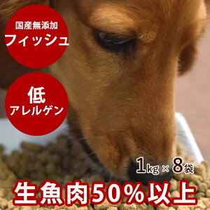 y܂tzzXeBbNNbLO tBbV(VR{̋) 8kg (1kg×8)@@VjA@mICR[eBO@HQ@Y@Y@VhbOt[h@VjA̐H