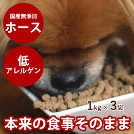 【割引クーポン配布中】【おまけ付き】ホリスティッククッキング ホース 3kg (1kg×3袋)　高齢犬　シニア　ノンオイルコーティング　小粒　やわらかい粒　ドッグフード　国産ドッグフード　無添加　馬肉　子犬　老犬　ラクトフェリン 震災 非常食 保存食 在庫あり