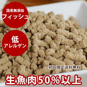 y著zzXeBbNNbLO tBbV(VR{̋) 1kg(500g×2) X^[^[  p Y YhbOt[h@hCt[h@S@mICR[eBO ̂