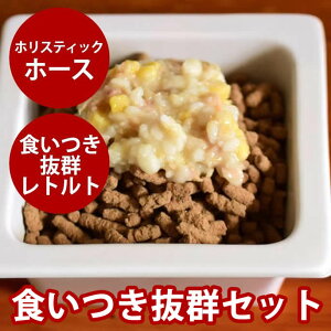 pt[hZbg@HQggƃzXeBbNNbLOz[XZbg@p@Y@Y@EFbgt[h@hbOt[h@hbN@q琬EVjA܂Ł@ʐH