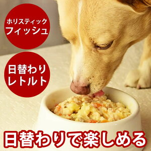 pt[hZbg@zXeBbNNbLOtBbVƓւ背ggZbg@p@Y@Y@EFbgt[h@hbOt[h@hbN@q琬EVjA܂Ł@ʐH