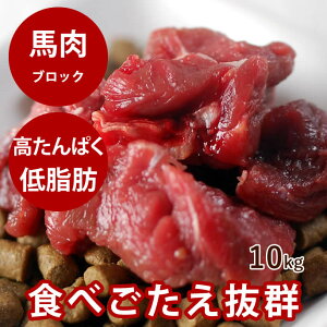 yN[|zzz n n ubN 10kg yⓀzyf voCIeBNX IK3⋋ ybg  H[t[hƂ ^ ^ p hbOt[h  H 