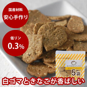 yN[|zzz  Y Y S}ȂNbL[i 5܃Zbg jyYESESEpg[cEVRfށEpNbL[E5500~ȏőz