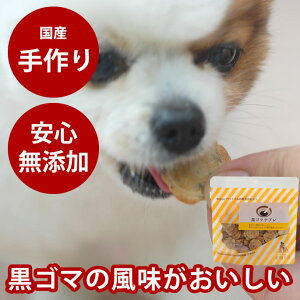 yN[|zzz  Y Y S}Tu 40g NbL[ rXPbg  S XIWî Y q VjA hbOt[hyY Icz  N