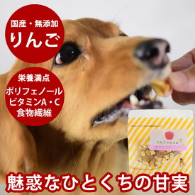 【割引クーポン配布中】犬 おやつ 無添加 国産 りんご農家の手作り りんごコロコロ 40g 無添加 国産 低脂肪 ドライフルーツ 低カロリー 子犬 老犬小麦不使用 無添加ドッグフード 愛犬に
