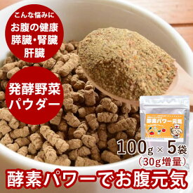 犬 酵素 酵素パワー元気 100g 5袋セット 犬が消化できる野菜 発酵野菜　低リン ペットの手作り食のふりかけに 乳酸菌【あす楽】ドッグフード フード 無添加 サプリメント 消化酵素　発酵食品【犬用品 ごはん 犬用サプリ ドックフード】