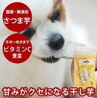【割引クーポン配布中】犬 おやつ 無添加 国産手作り 干し芋スティック100g 国産 無添加 低脂肪 犬用 犬 …