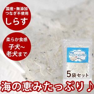 yP2{N[|zzz  Y Y 炷ׂi 7g 5܃Zbg jy CV   z Ⴑ L J[Y@yJVEƃr^~D𓯎ɐۂBz