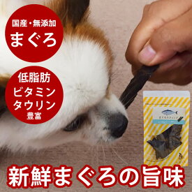 【割引クーポン配布中】犬 おやつ 無添加 国産 獲れたて まぐろスティック 80g 低脂肪 国産【鮪 マグロ 海鮮おやつ 犬用 ジャーキー】犬 魚ジャーキー 無添加 塩分控えめ 日本犬のおやつ【犬おやつ オヤツ ドッグ】 愛犬に