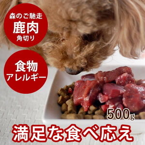 yP2{N[|zzz  VR G]p؂ 500g kCY yⓀzVJ  xj\  Hyyzڈ΂ Y J[ H[t[h ӂ肩 G