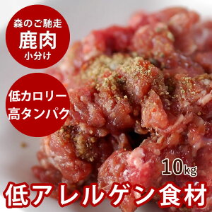 yN[|zzzykCYzVR G] pbN 10kg yⓀz H    VJ VR Y J[ ybg wV[  VjA