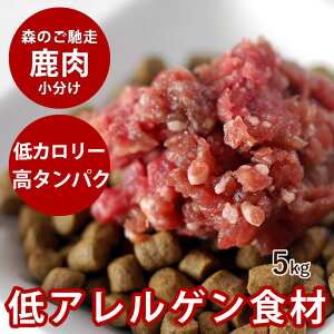 y11OFFN[|P5{zykCYzVR G] pbN 5kg yⓀz H    VJ VR Y J[ ybg wV[  VjA