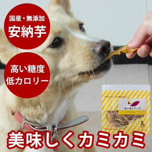 yN[|zzz݊݊ 30g  ybgpy  K _炩 ybgt[h t[h  Ic 