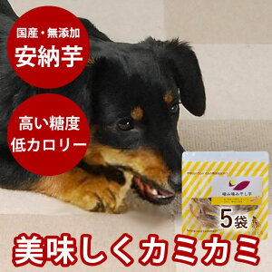 yN[|zzz݊݊i 30g 5܃Zbg j ᎉb ނ ybgpyIc  ق  C Y Y ̂ hbOz@ 