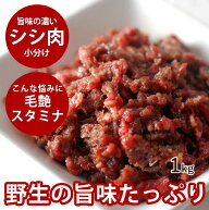 犬用 冷凍生肉 シシ肉ミンチ 小分けトレー 1kg 便利な少量パック 食べ切り 高カロリー 犬用生肉 ドッグフ…