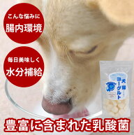 犬と猫のためのヨーグルト(飲料) 約360g【冷凍】 腸まで届く 乳酸菌 フェカリス菌 お腹の環境維持に 低脂…