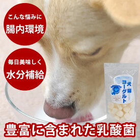 【割引クーポン配布中】犬と猫のためのヨーグルト(飲料) 約360g【冷凍】 腸まで届く 乳酸菌 フェカリス菌 お腹の環境維持に 低脂肪 消化 老犬 介護 お口 デンタル 発酵乳 冷凍 水分補給 アイスとしても 犬用猫用 いぬ