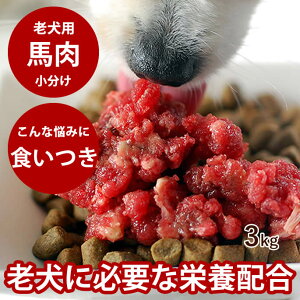 yN[|zzzVpn g[  3kg yⓀzRGUCQ10 ^E BCAA VNn  쌢 H