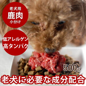 VpG] g[ RGUCQ10 ^E BCAA 500g ykCYzyⓀz  ~` yf  hbOt[h  VjA Y p  G]  ybgt[h 