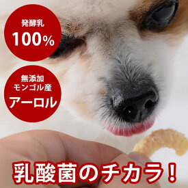 【割引クーポン配布中】犬 おやつ 無添加 ヨーグルトチップ 40g ヨーグルトビッツ 乳酸菌 硬めのおやつ モンゴル産 犬用ヨーグルト 発酵乳 乳酸菌ヨーグルト 犬オヤツ 犬おやつ 犬のおやつ 犬無添加おやつ 老犬 シニア 子犬 　アロール　少し硬いおやつ