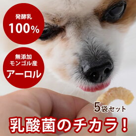 犬 おやつ 無添加 ヨーグルトチップ 40g （ 5袋セット ） ヨーグルトビッツ 乳酸菌 硬めのおやつ モンゴル産 犬用ヨーグルト 発酵乳 乳酸菌ヨーグルト 犬オヤツ 犬おやつ 犬のおやつ 犬無添加おやつ 老犬 シニア 子犬 　アロール　少し硬いおやつ
