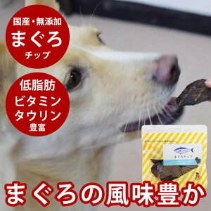   Y Y CN ܂`bv 50g ᎉb Y ybg    }O tBbV  L W[L[ Mtg  Y Ic R Y S S HQ 