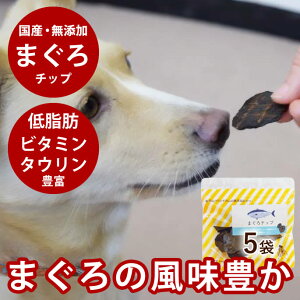   Y Y CN ܂`bv i 5܃Zbg j ybg    }O tBbV  L W[L[ Mtg  Y Ic R Y S S HQ 