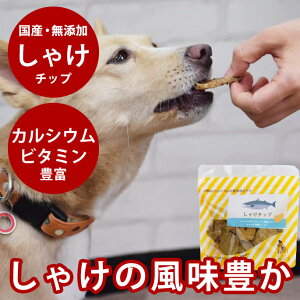 yN[|zzz  Ylꂽ Ⴏ`bv ybg    Ⴏ tBbV J[  L W[L[ Mtg  Y Ic R Y S S H